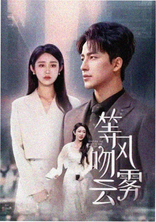 长夜灯火 在线追剧网站