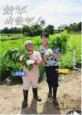 城市味觉 综艺在线观看